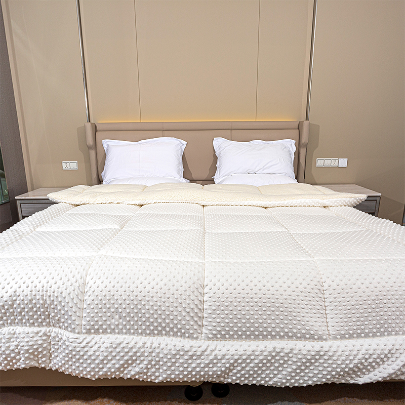 Minky Dots Lamb Fleece Comforter, dvojitá tkanina Super měkká teplá peřiň Velvet tlustý teplá zimní přikrývka Luxusní fluffy Fleece Zimní přikrývka